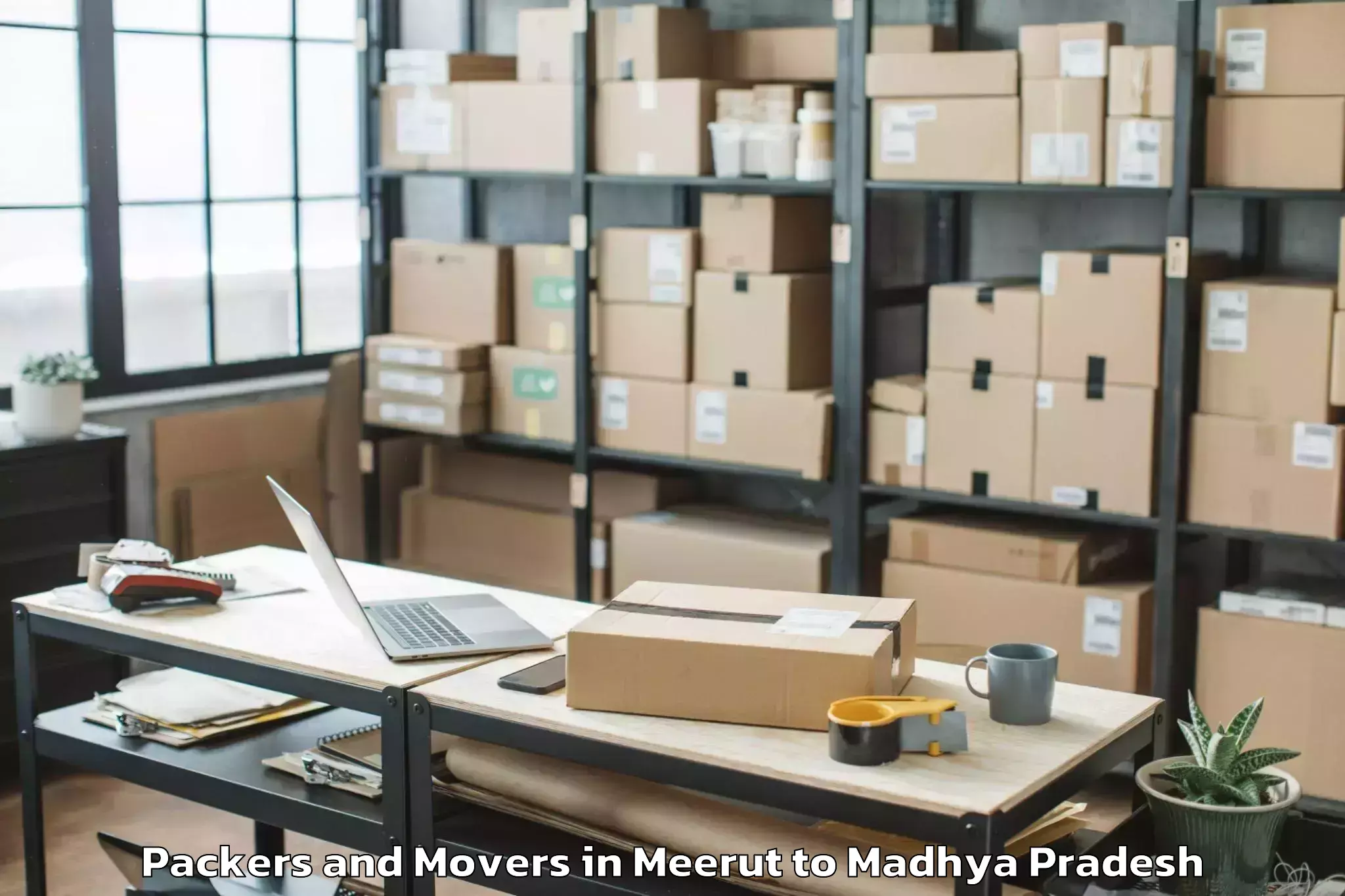 Professional Meerut to Mahidpur Packers And Movers